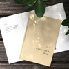 独处时与世界交流的方式 谜文库系列 张新颖诗歌集 精装正版 商品缩略图4