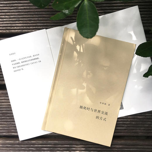 独处时与世界交流的方式 谜文库系列 张新颖诗歌集 精装正版 商品图4