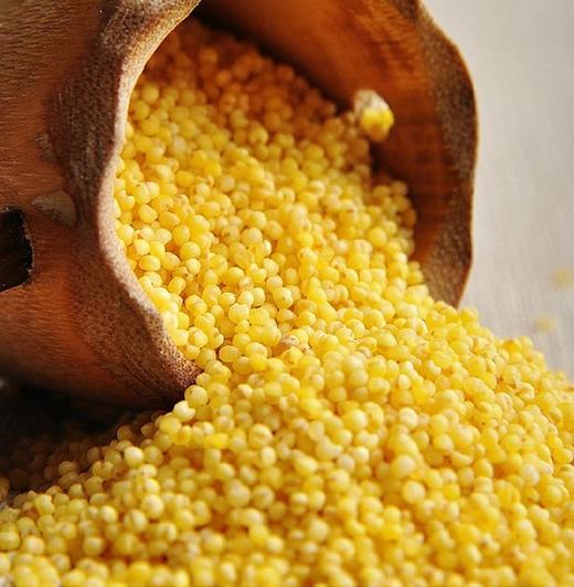 碧夏山庄小米 农家种植 颗粒饱满 精挑细选 浓浓谷香 营养早餐粗粮 老少皆宜营养丰富 商品图5