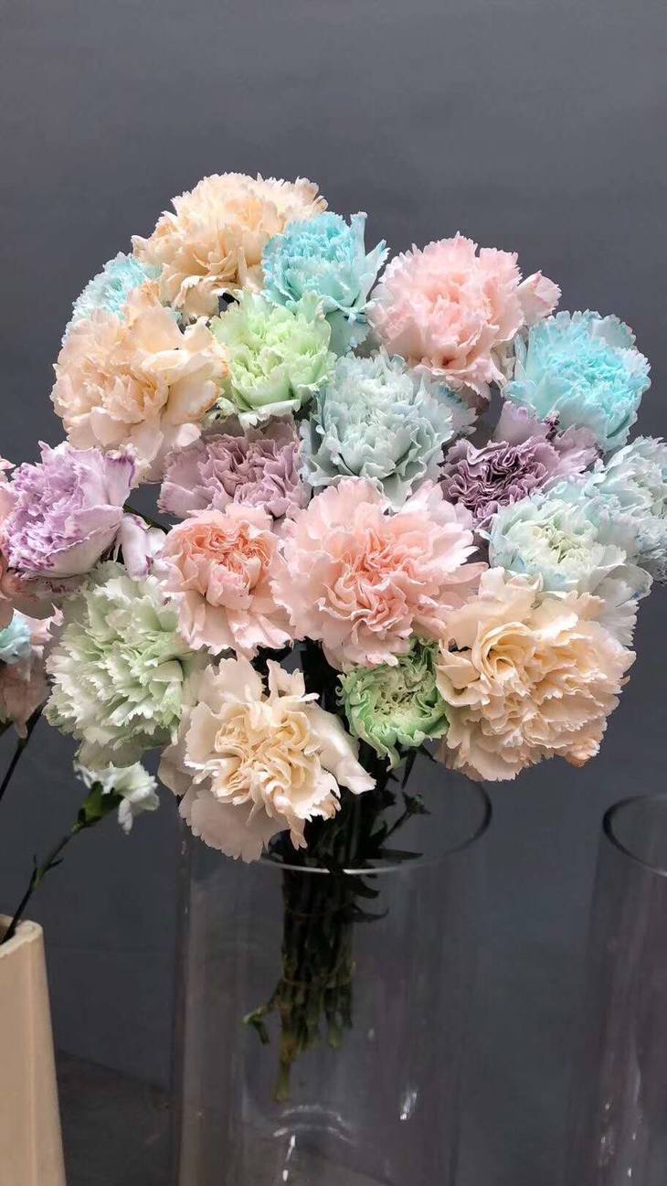 读本鲜花混色马卡龙康乃馨38元一束