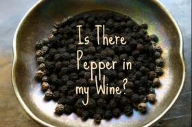 葡萄酒中的胡椒味从哪儿来的？