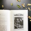 战争之间 1919-1939 商品缩略图1