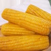 【大河特供】天景粘玉米（20根/箱） 商品缩略图2