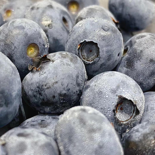 活动款4盒送2盒【智利蓝莓】 125g/盒 商品图3