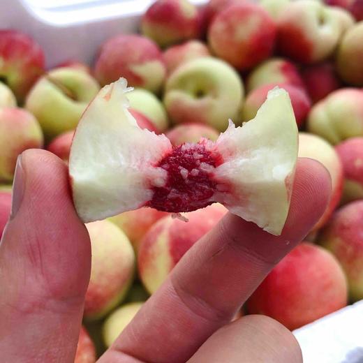 枣桃珍珠枣桃脆甜口感吃口桃味浓青红相间非常好吃的一款小脆桃