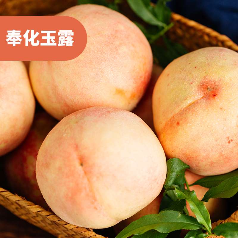 宁波奉化玉露水蜜桃 8个装 单果5