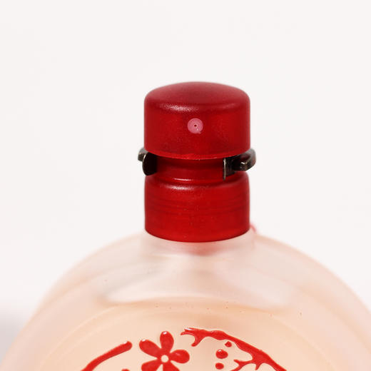 丽诗加邦 幸运数字6女士 Liz Claiborne Lucky Number 6 分装 商品图2