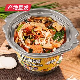 【自嗨锅】日式豚骨叉烧面自热锅 315g+鸡汤小鲜菇自热锅110g 