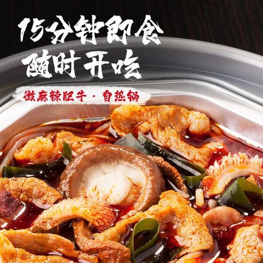 【自嗨锅】麻辣牛肉自热火锅170g+麻辣肥牛自热火锅170g  商品图4