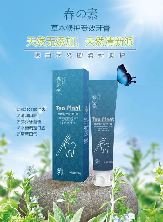 同城快送春素小皙牙膏两只装