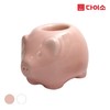 [Daiso] Golden Pig Toothbrush Holder-1016339 金猪牙刷架-JPY带授权招加盟代理 商品缩略图0