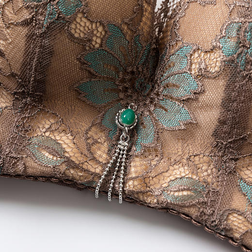 皇家丽美性感蕾丝无钢圈记忆棉聚拢舒适调整型收副乳小胸显大复古文胸WWJ58-3 商品图1