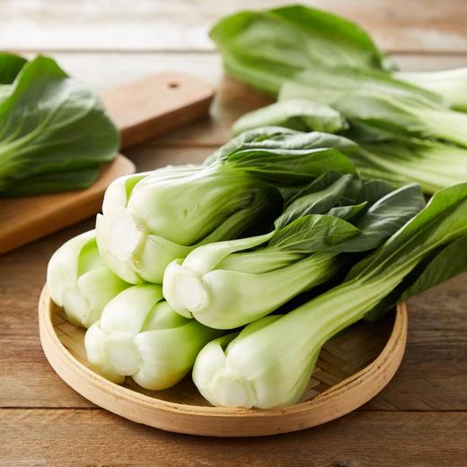 精选上海青500g次日达