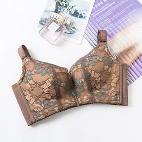 皇家丽美性感蕾丝无钢圈记忆棉聚拢舒适调整型收副乳小胸显大复古文胸WWJ58-3