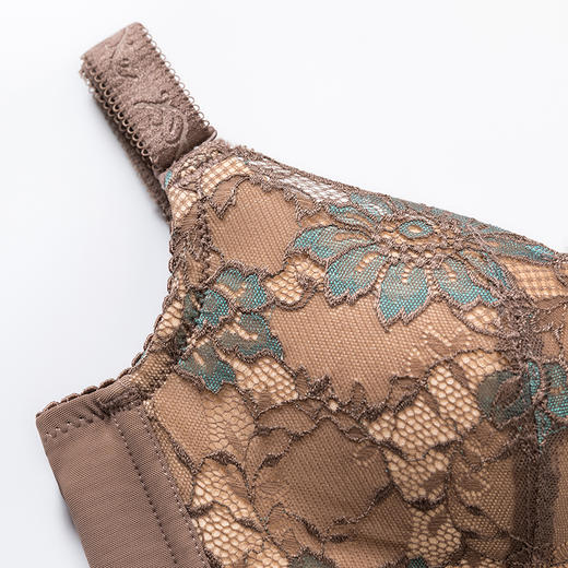 皇家丽美性感蕾丝无钢圈记忆棉聚拢舒适调整型收副乳小胸显大复古文胸WWJ58-3 商品图5