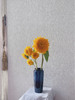泰迪向日葵【你来人间一趟，你要看看太阳】简小姐精选 超萌毛茸茸A级重瓣泰迪向日葵 2枝/束  2束包邮 48小时发货 商品缩略图12