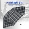 雨中花方格/珠光雨伞（颜色随机）*1把(1100269) 商品缩略图1