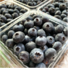 蓝莓（125g） 商品缩略图2