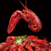 今锦上 麻辣小龙虾 净虾750g 中号25-33只 1.5kg 4-6钱 商品缩略图3