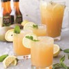 冷冻原汁  柳丁原汁/ 柠檬原汁  950克/瓶 商品缩略图1