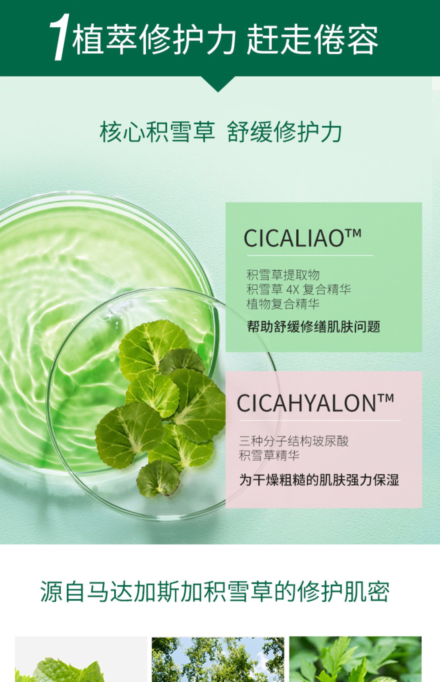 vt老虎积雪草睡眠面膜1盒30条