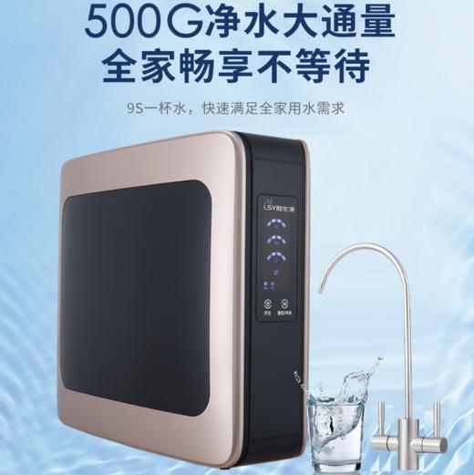 家用净水机500g大通量双出水ro反渗透纯水机 - 深圳利生源净水器