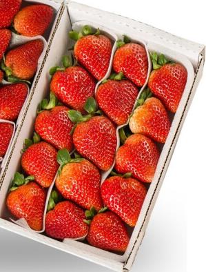 法兰帝草莓约400g±50g 商品图1