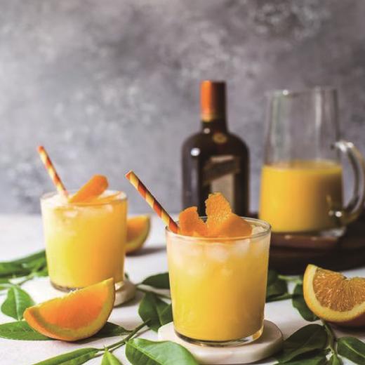 冷冻原汁  柳丁原汁/ 柠檬原汁  950克/瓶 商品图0