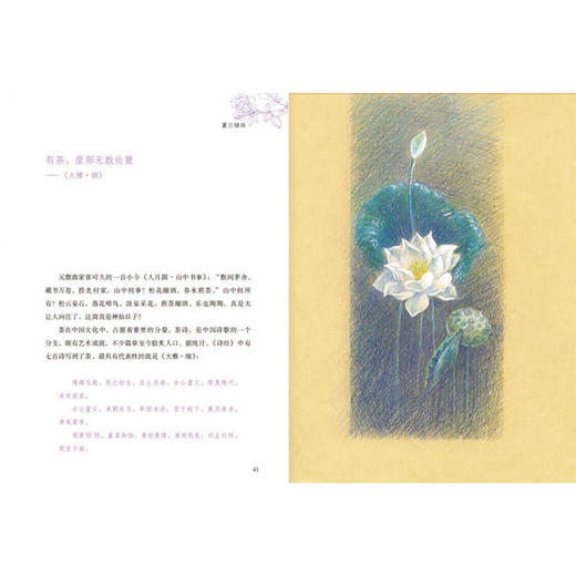 最美不过诗经（青少版） 商品图2