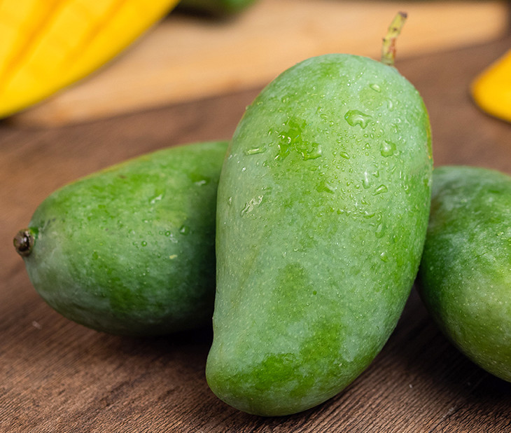 桂七香芒 | 产自"中国芒果之乡",果肉甜嫩软糯,肉厚核薄