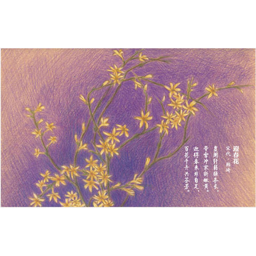 最美不过诗经（青少版） 商品图4