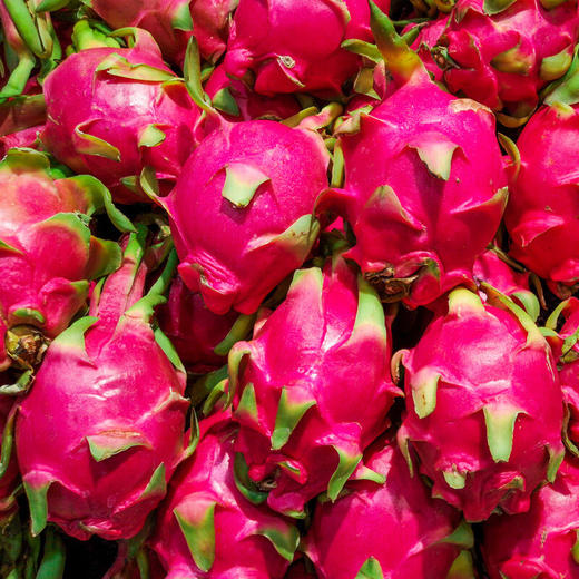 新鲜水果广西红心火龙果金都一号5斤特大果46个