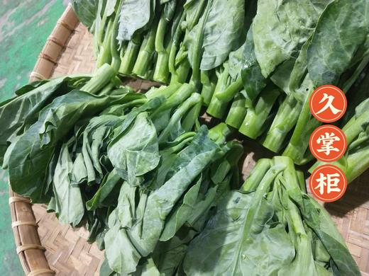 日日秒本地新鲜芥兰1斤份035