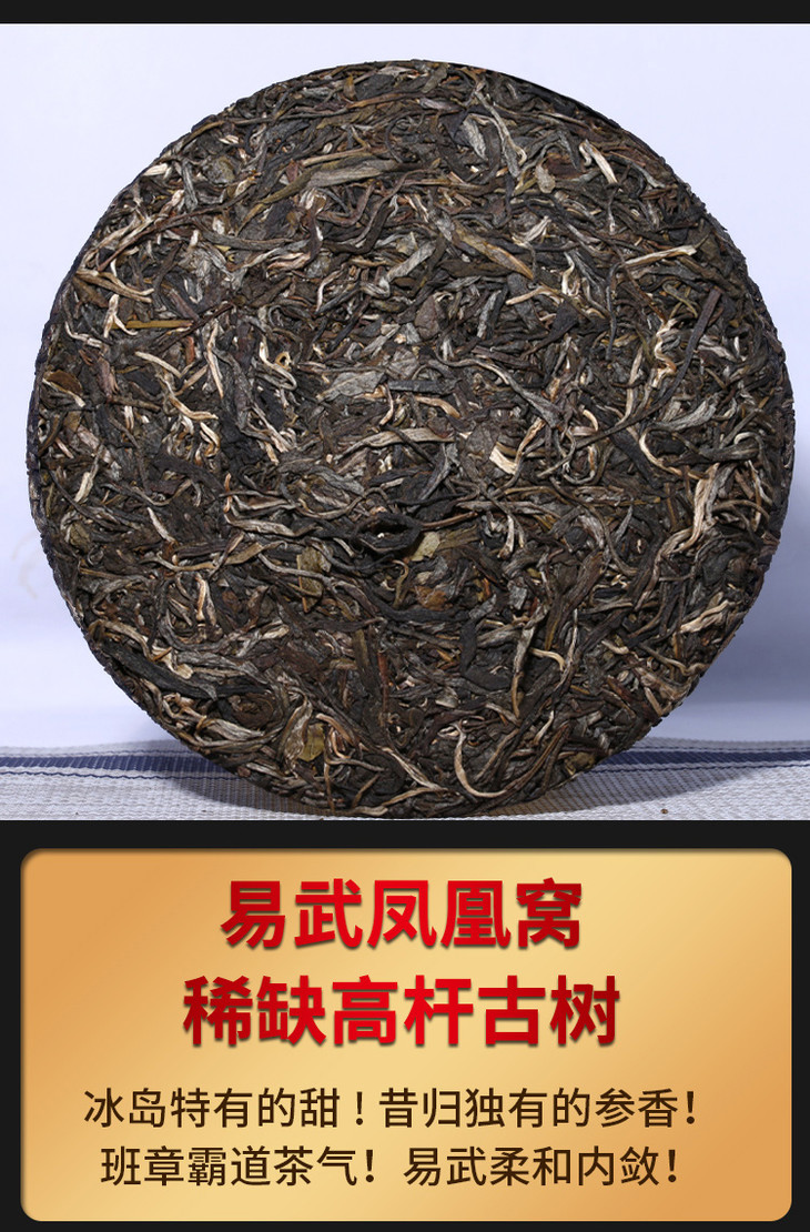 【年货节】易武凤凰窝900年稀缺高杆头春古树 陈道峰监制