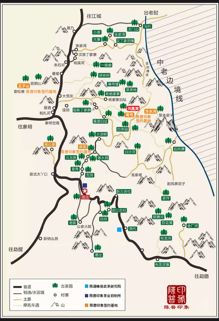 【年货节】易武凤凰窝900年稀缺高杆头春古树 陈道峰监制