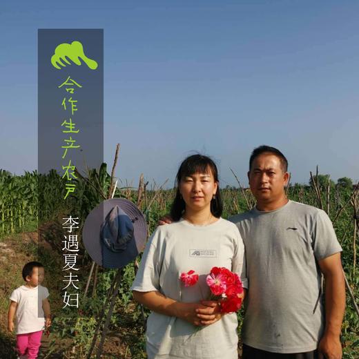 生态土豆淀粉 | 合作生产*Eco-Potato Starch| Coproduction| 商品图3