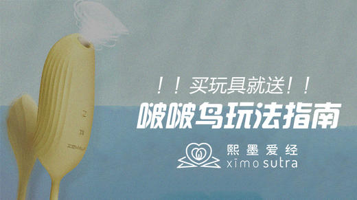 啵啵鸟独家玩法指南 商品图0