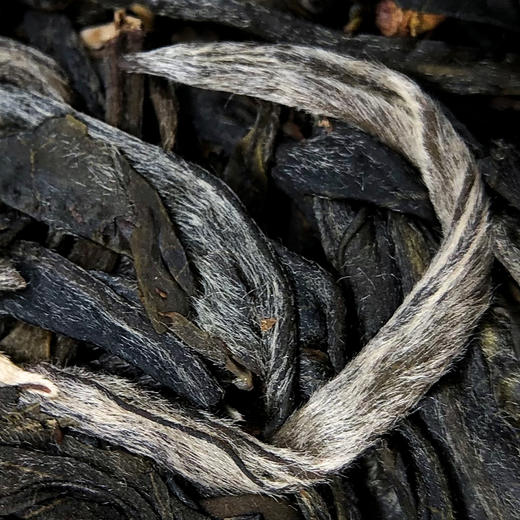 凰馨古茶【那卡】普洱生茶2020年500古树纯料200g 商品图3