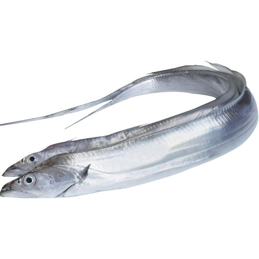 鲜带鱼（1斤约1条） 商品图0