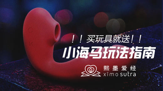 小海马独家玩法指南 商品图0