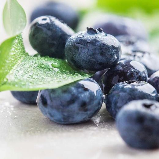 大兴安岭野生蓝莓汁 300ml*6袋 商品图6