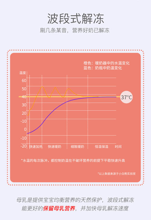 小白熊温奶器消毒器二合一调奶恒温加热器JPY带授权招加盟代理 商品图4