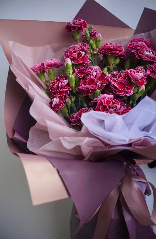 康乃馨【 时间是让人猝不及防的东西，偷走了青丝，留住你】简小姐精选 稀有康乃馨  2件包邮 下单48小时发货 商品图11