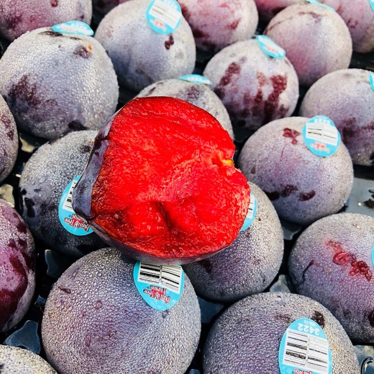 进口 夜玫瑰李恐龙蛋 1件28-32个