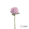 绣球 | 浅粉 商品缩略图2