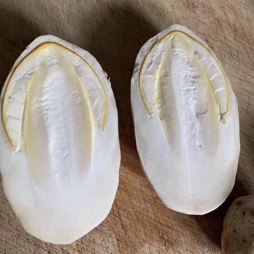 高原野生鹅蛋菌 肉质鲜嫩美味 是高蛋白低脂肪的健康食材 顺丰包邮48