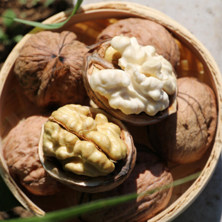 云南大姚新鲜湿核桃,肉质鲜嫩,清甜香脆,一年仅一次的深山美味!