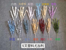 5叉
尤加利【运费自理】