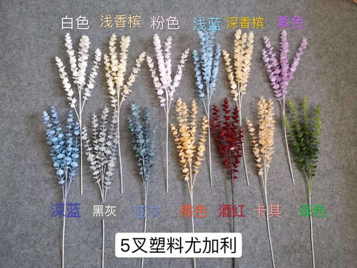 5叉
尤加利【运费自理】 商品图0