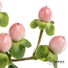 配果 | 火龙珠粉色【运输途中果子易掉，介意慎拍】 商品缩略图1